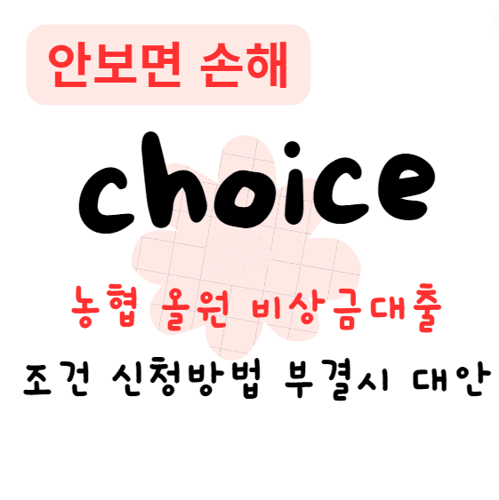농협 올원 비상금대출 조건 신청방법 부결시 대안